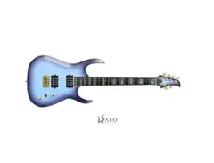 Halo Danny the Husky Custom Guitar "The Husky"