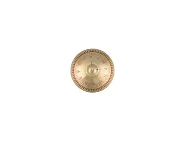 22" PARAGON RIDE - LIMITED EDITION STEAMPUNK