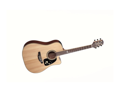Takamine EG50th main image