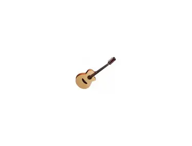 Faith Guitars Naked Venus 12-String Electro Cutaway Acoustic Guitar