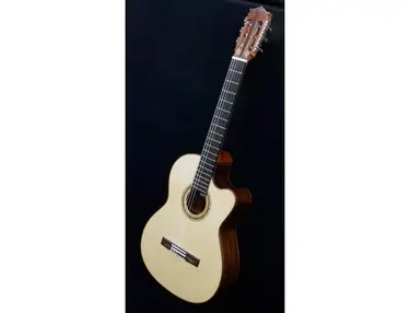 Prenkert Guitars Cutaway