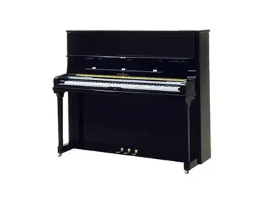 Schimmel 130T