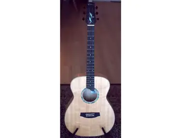 Dick Visser 'Ekster' Custom Hand Built Acoustic
