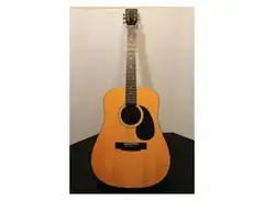Karina SF155 Acoustic Guitar main image