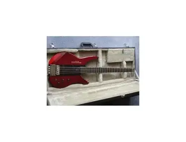 Washburn Pat Badger signature - What To Know & Where To Buy