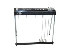 Carter Starter Pedal Steel Guitar