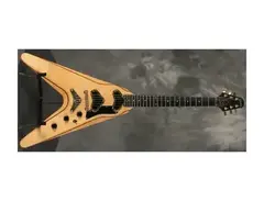 Gibson V2 main image