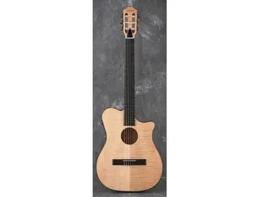 Carvin CL450