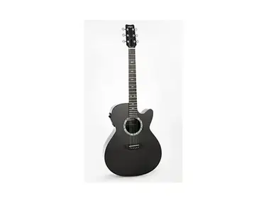 Rainsong CO-WS1000N2