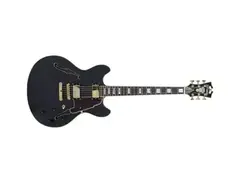 D'Angelico Deluxe DC