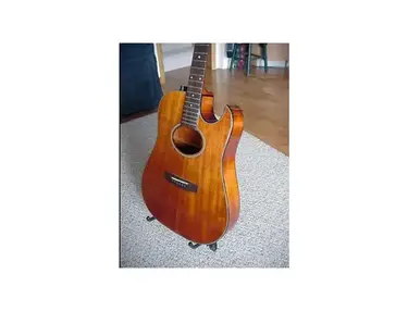 Sigma SE-19 Acoustic/Electric Guitar