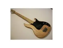 Peavey Fury I bass