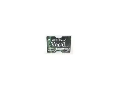 Roland SR-JV80-13 Vocal Expansion Board