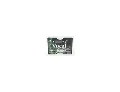 Roland SR-JV80-13 Vocal Expansion Board main image