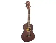 Puka PK-PE ukulele main image