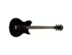 Washburn WI24
