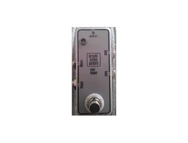 Bright Onion Pedals Mini Looper Pedal