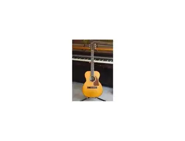 Epiphone FT-50