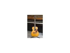 Epiphone FT-50 main image