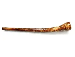 Mayan Trumpet main image