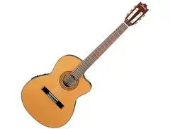 Ibanez GA3ECE with Pickup and Cutaway. main image