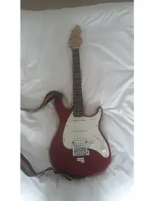 Peavey Raptor Plus EXP