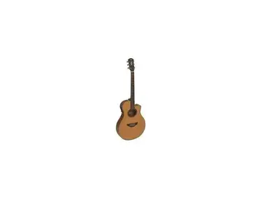 Yamaha APX4A