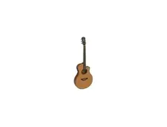 Yamaha APX4A
