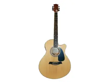 Shelter Folk Lf-4110 Acoustic Guitar