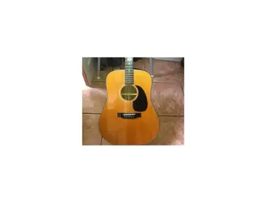 Takamine EF340