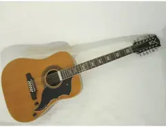 Vox V240 Folk Twelve Electro