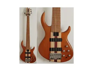 Gibson Tobias Basic 6