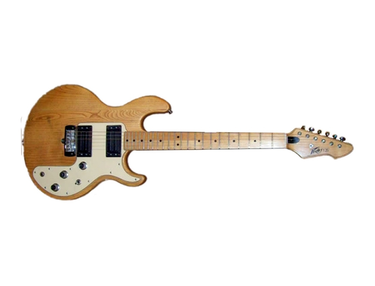 Peavey t-25