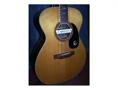1970 Epiphone FT 135 main image