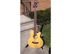 Washburn AB-35 Acoustic Electric 5 String