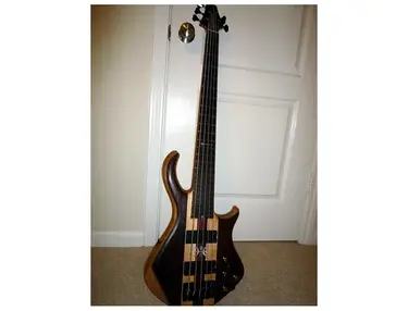 Warrior Traa Daniels Signature 5 String
