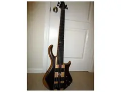 Warrior Traa Daniels Signature 5 String