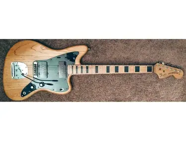 2010 Jacobsen/Robedeau "Fender" Jazzmaster/Panther LS Prototype