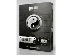 Funk/Soul Productions Ambient Black main image