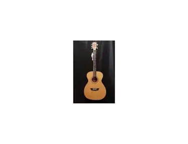 Washburn Mirage
