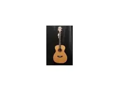 Washburn Mirage