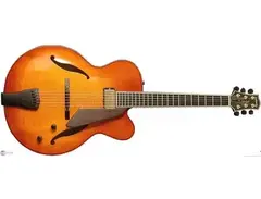 Sadowsky Jim Hall Signature Model - What To Know & Where To Buy