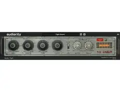 Audiority The Abuser main image