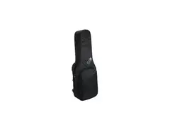 Reunion Blues RBX double guitar gig bag