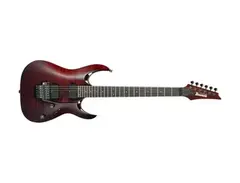 Ibanez RGA420Z PRT Premium main image