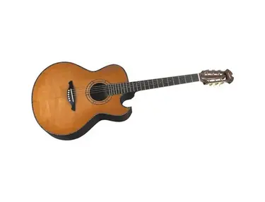 Wechter Florentine Nylon