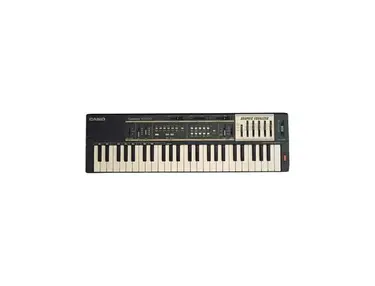 Casio MT-100 (Duplicate)