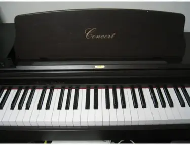 Korg concert c-303