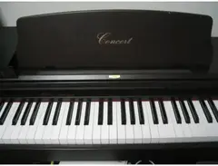 Korg concert c-303 main image