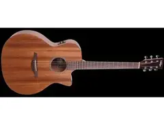Vintage VE900MH Mahogany Sweet Water Electro Acoustic Guitar main image